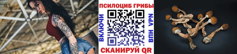 Псилоцибиновые грибы Psilocybe  Богородск 
