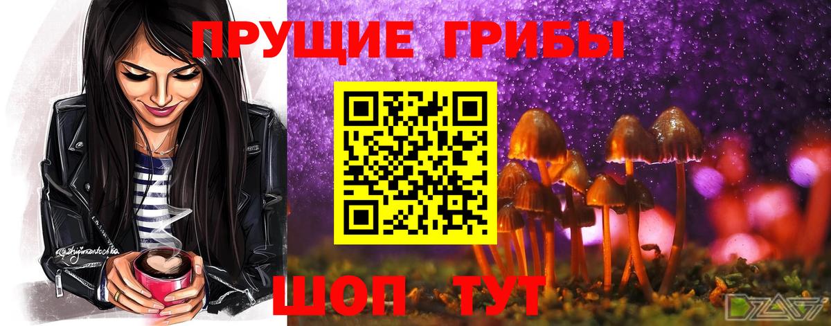 Псилоцибиновые грибы ЛСД  Вход с VPN  Богородск  купить наркоту  Псилоцибиновые грибы мицелий 